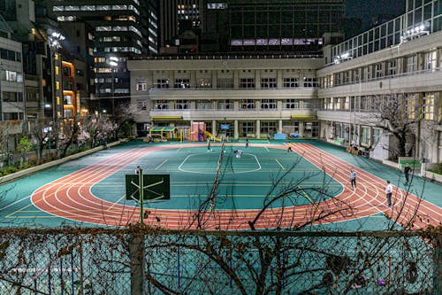 目标从保
